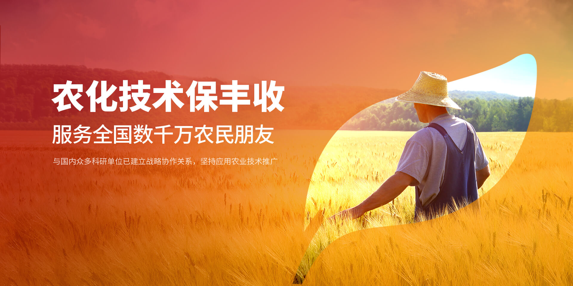 熟女毛毛多熟妇人妻AV-玩弄丰满少妇XXXXX性多毛-俩个男人添我下面太爽了-女性黄A片免费看不打码-日韩av无码播放